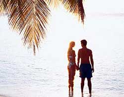 Jamaica - Couple, Beach, Palm, Ocean